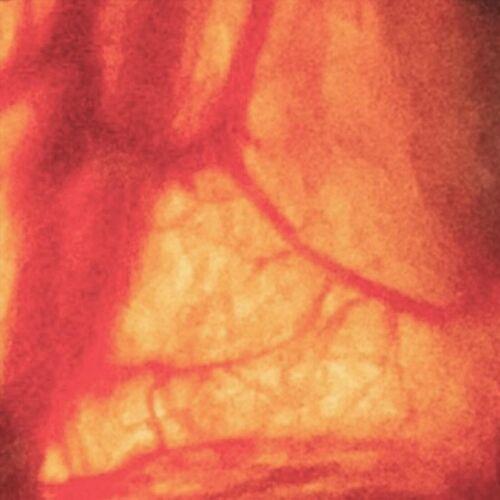 Dark Years from Now - De-illuminate (2024)