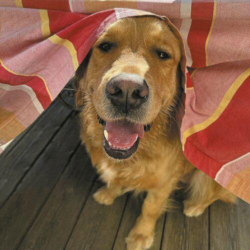 It It Anita - Mouche (2023)