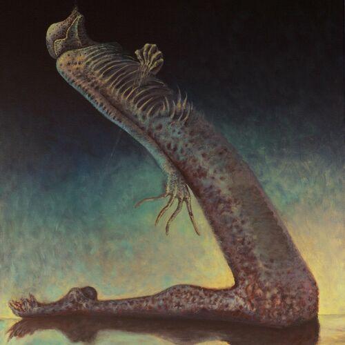 Clarion Void - Failure in Repetition (2024)