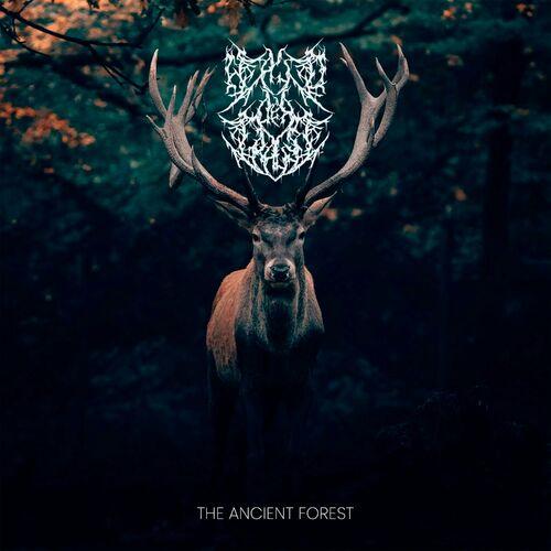 Walddertrauer - The Ancient Forest (2024)