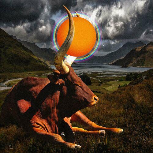 Curxs - A ritual for the sick sun (2024)