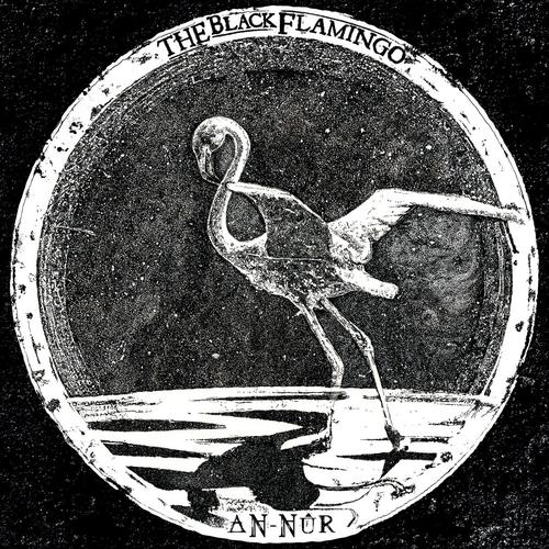 The Black Flamingo - AN-NÛR (2024)