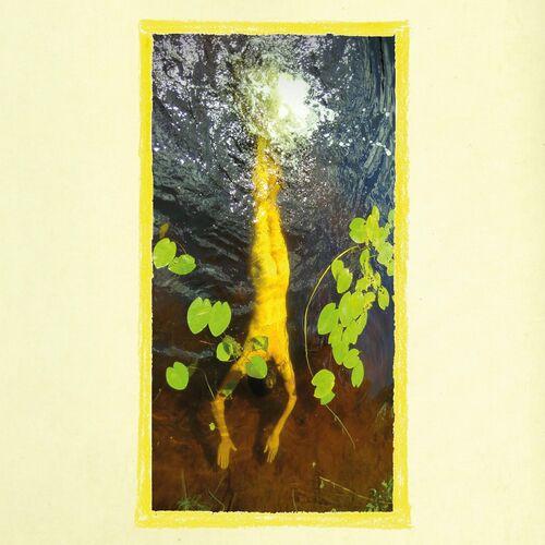 Me and My Kites - Sense Nonsense (2024)