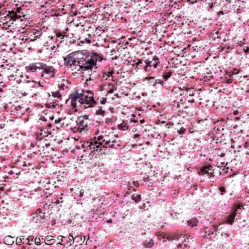 CELESTYN - Fermentation (2024)