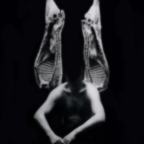 GARDENJIA - Mostra dell'arte degenerata (2024)