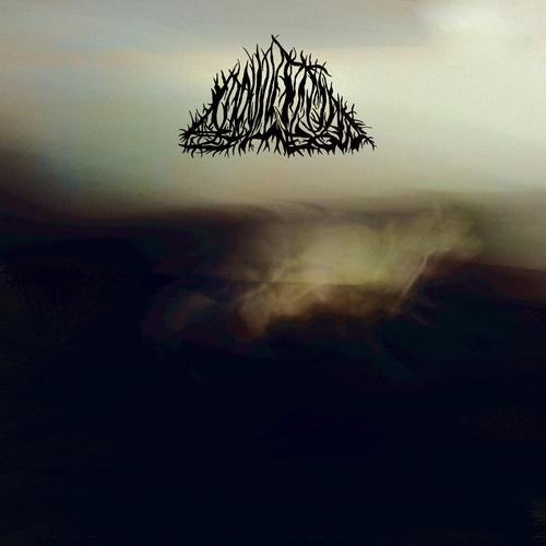 Mountain Shadow - Mountain Shadow (2024)