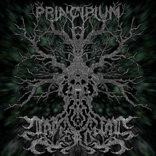 NAPIERDALAC - Principium [EP] (2024)