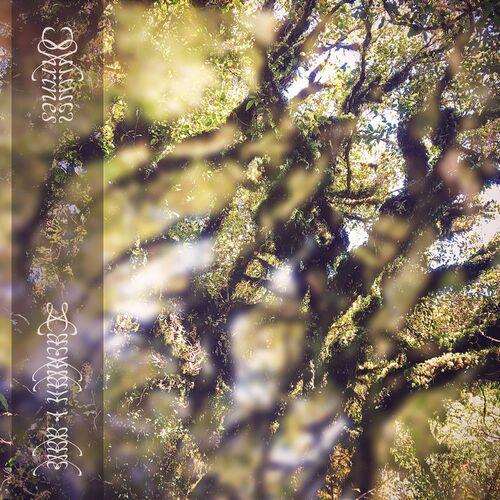 Lachlan R. Dale - Shrines (2024)