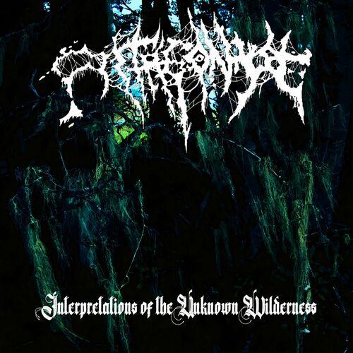 Antagonyze - Interpretations of the Unknown Wilderness (2024)