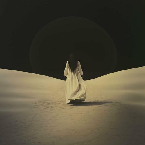 sunnata - Chasing Shadows (2024)