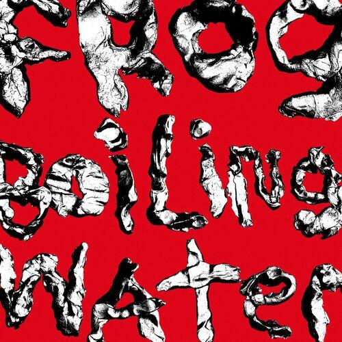 DIIV - Frog In Boiling Water (2024)