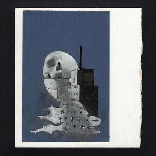 Bad Breeding - Contempt (2024)