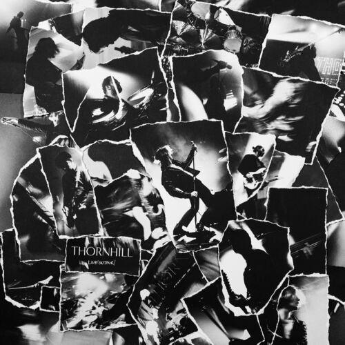Thornhill - Live On Tour! (2024)