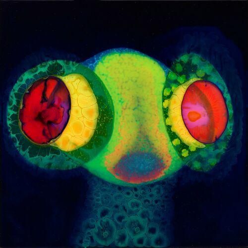 Thee Oh Sees - SORCS 80 (2024)