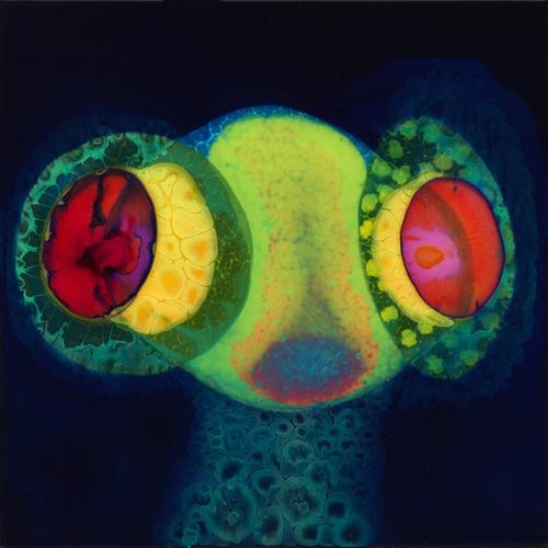 Thee Oh Sees - SORCS 80 (2024) CD