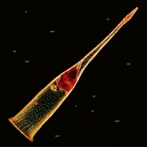 Leprous - Melodies Of Atonement (2024) 320|FLAC|Hi-Res|CD Scans|BluRay