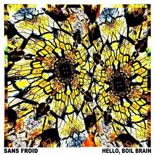 Sans Froid - Hello, Boil Brain (2024)