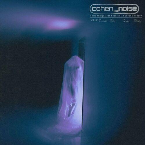 cohen_noise - Bruise [EP] (2024)