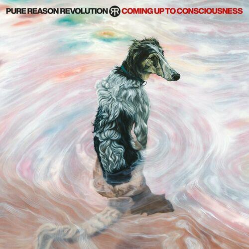 Pure Reason Revolution - Coming Up To Consciousness (2024) 320|FLAC|Hi-Res