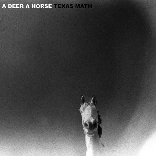 A Deer A Horse - Texas Math (2024)