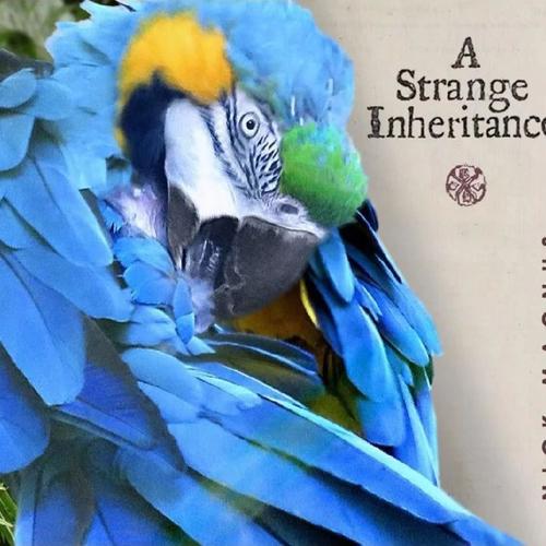 Nick Magnus - A Strange Inheritance (2024)