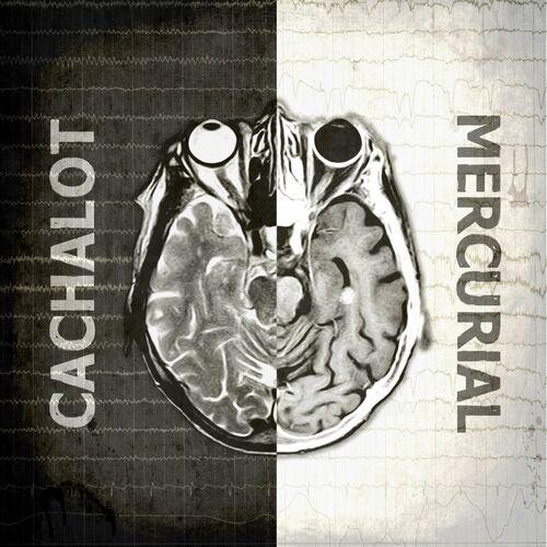 Cachalot - Mercurial (2024)