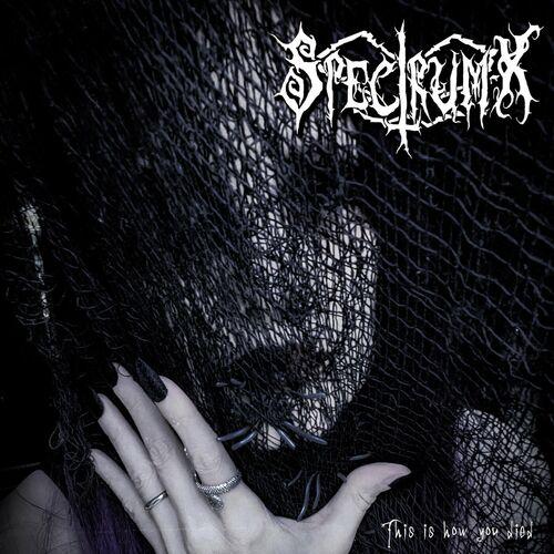 Spectrum-X - This Is How You Died (2024) 320|FLAC