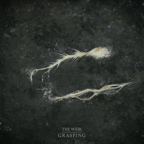 The Weir - Grasping (2024)