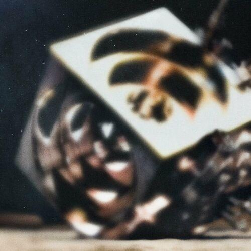 Dark Dazey - The Dissolving Door (2024)