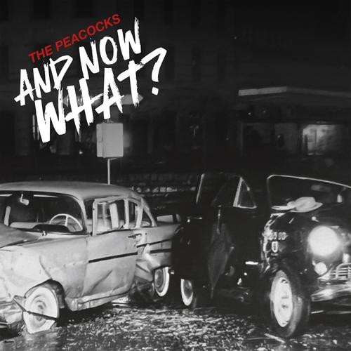 The Peacocks - And Now What? (2024) 320|FLAC