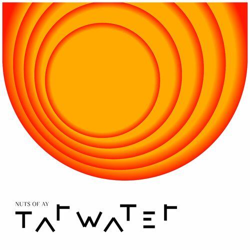 Tarwater - Nuts of Ay (2024) 320|FLAC