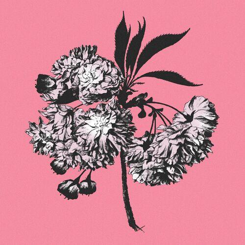 Battosai - Lágrimas y Milagros (2024)