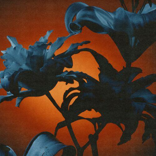 Tides From Nebula - Instant Rewards (2024) 320|FLAC