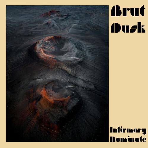Brut Dusk - Infirmary Nominate (2024)