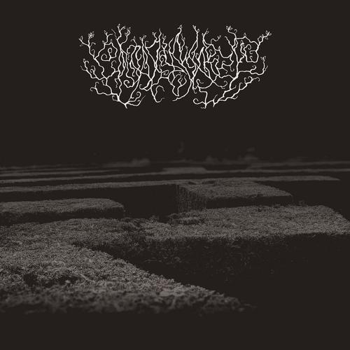 Final Maze - The First Floor (2023)