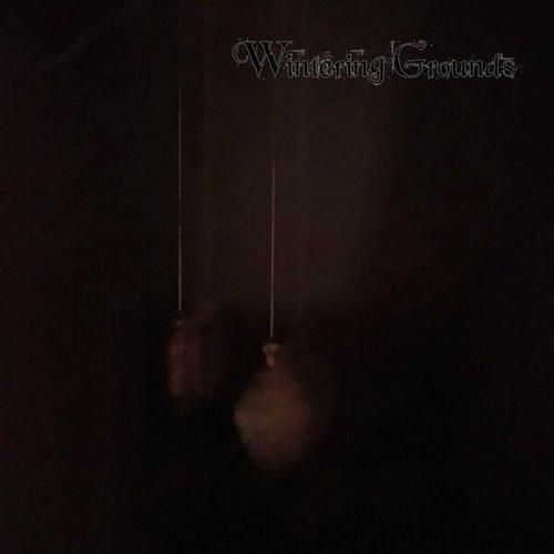 Wintering Grounds - Wintering Grounds (2024)