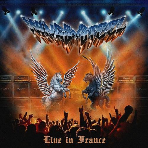 Wings of Steel - Live in France (2024) 320|FLAC
