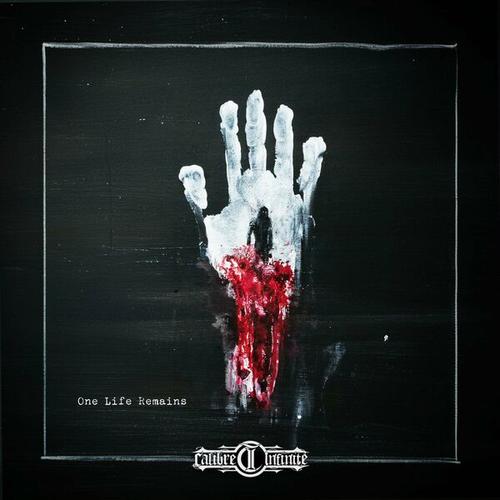 Calibre Infinite - One Life Remains (2024)