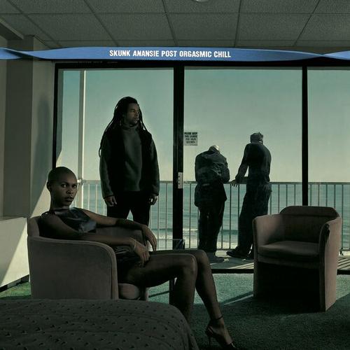 Skunk Anansie - Post Orgasmic Chill (25th Anniversary Expanded Edition) (2024) 320|FLAC