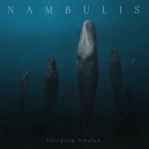 Nambulis - Sleeping Whales (2025)