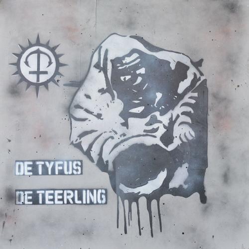 Grafjammer - De Tyfus, De Teerling (2024) 320|FLAC|Hi-Res