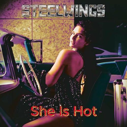 STEELWINGS - She Is Hot (Remix 2024) (2025) 320|FLAC