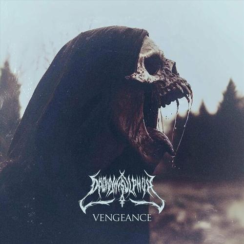 Drown in Sulphur - Vengeance (2025) 320|FLAC