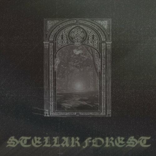 Stellar Forest - Stellar Forest (2025)