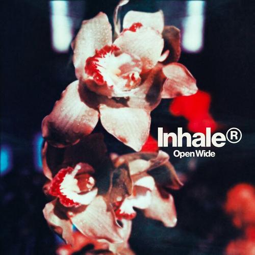 Inhaler - Open Wide (2025) 320|FLAC