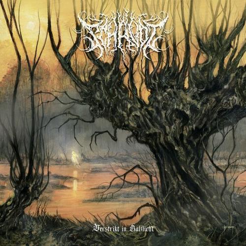 Schavot - Verstrikt in halflicht (2025)