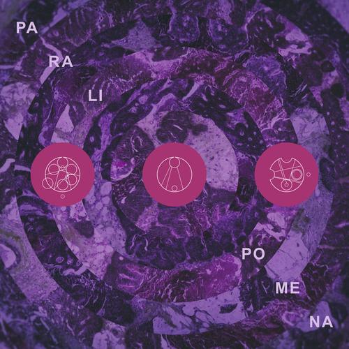 Pillars Of Cacophony - Paralipomena (2025) 320|FLAC