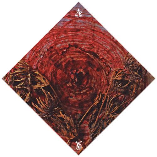 Ainsoph - Affection & Vengeance (2025) 320|FLAC