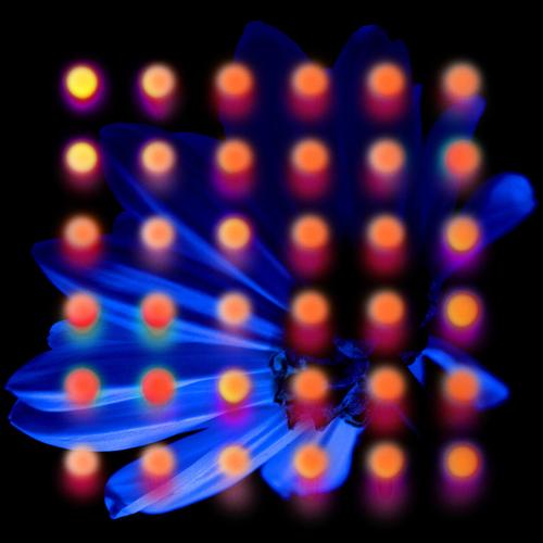 Anberlin and Matty Mullins - Nevertake (2025) 320|FLAC