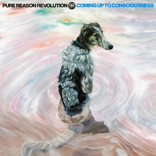 Pure Reason Revolution - Coming Up To Consciousness (Deluxe Edition) [2CD] (2025) 320|FLAC